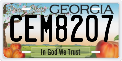 GA license plate CEM8207