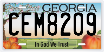 GA license plate CEM8209