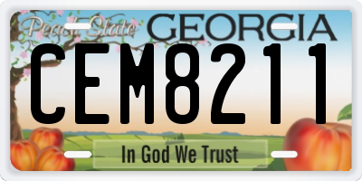 GA license plate CEM8211