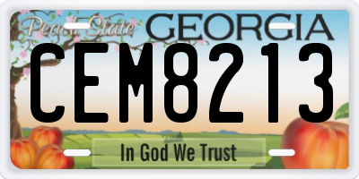 GA license plate CEM8213