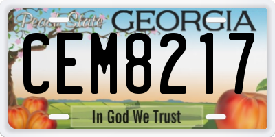 GA license plate CEM8217