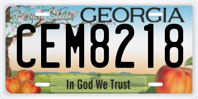 GA license plate CEM8218