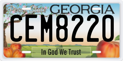 GA license plate CEM8220