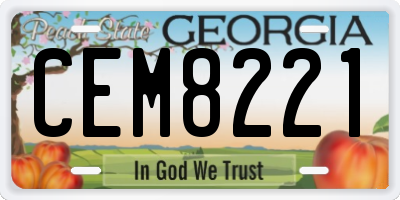 GA license plate CEM8221