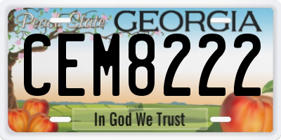 GA license plate CEM8222