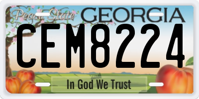 GA license plate CEM8224