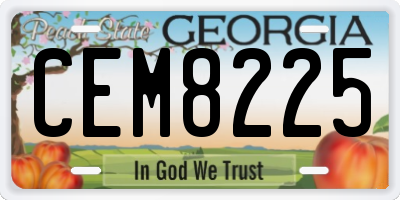 GA license plate CEM8225