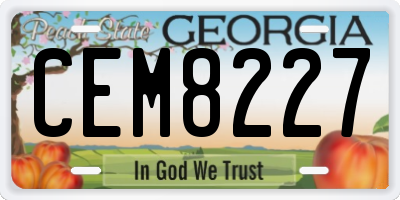 GA license plate CEM8227