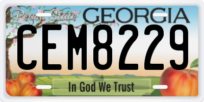 GA license plate CEM8229