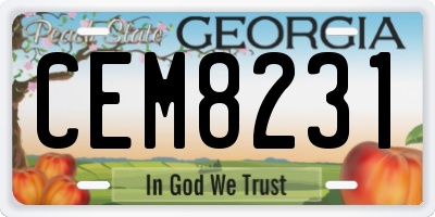 GA license plate CEM8231
