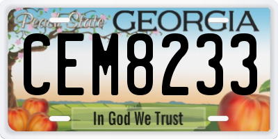 GA license plate CEM8233
