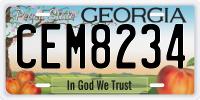 GA license plate CEM8234