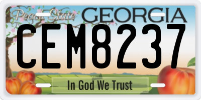 GA license plate CEM8237