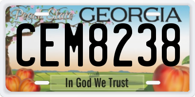 GA license plate CEM8238
