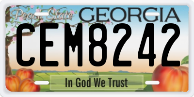 GA license plate CEM8242