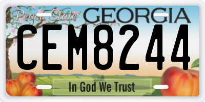 GA license plate CEM8244