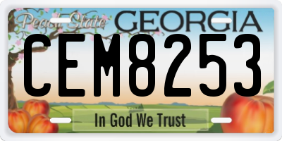 GA license plate CEM8253