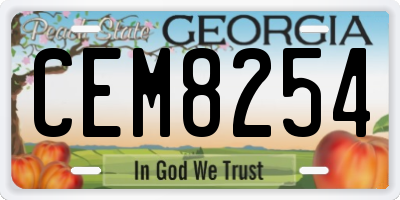 GA license plate CEM8254