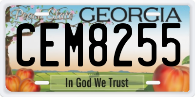 GA license plate CEM8255