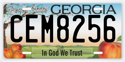 GA license plate CEM8256