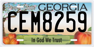 GA license plate CEM8259