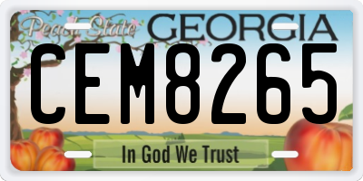 GA license plate CEM8265