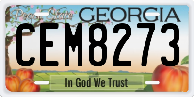 GA license plate CEM8273