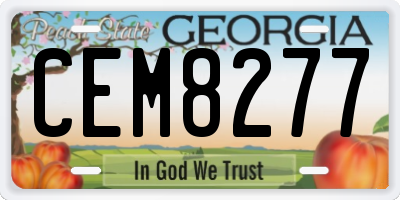 GA license plate CEM8277