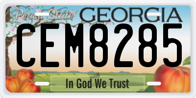 GA license plate CEM8285