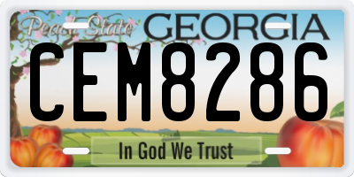 GA license plate CEM8286