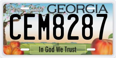 GA license plate CEM8287