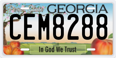 GA license plate CEM8288