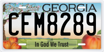 GA license plate CEM8289