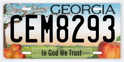 GA license plate CEM8293