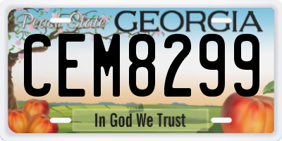 GA license plate CEM8299