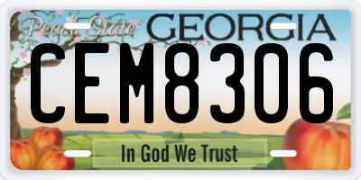 GA license plate CEM8306