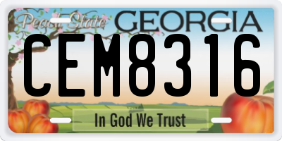 GA license plate CEM8316