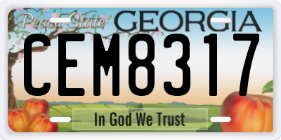 GA license plate CEM8317