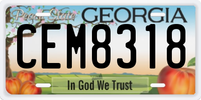 GA license plate CEM8318