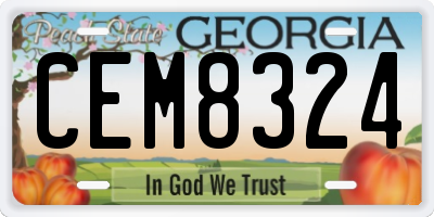 GA license plate CEM8324