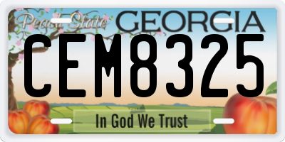 GA license plate CEM8325