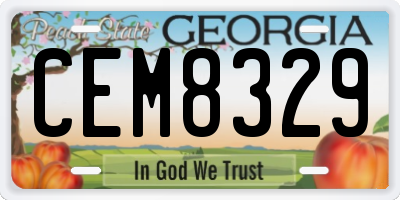 GA license plate CEM8329