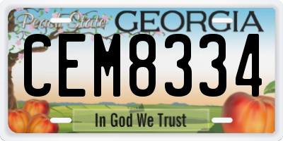 GA license plate CEM8334