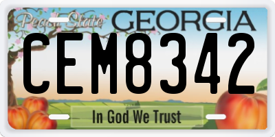 GA license plate CEM8342