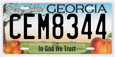 GA license plate CEM8344