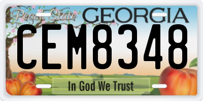 GA license plate CEM8348