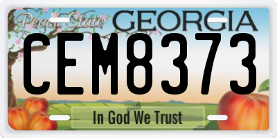 GA license plate CEM8373