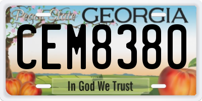 GA license plate CEM8380