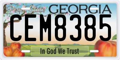 GA license plate CEM8385