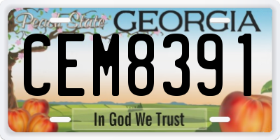 GA license plate CEM8391